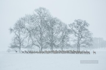 150の主題の芸術作品 Painting - リアルな写真09 冬景色 鹿